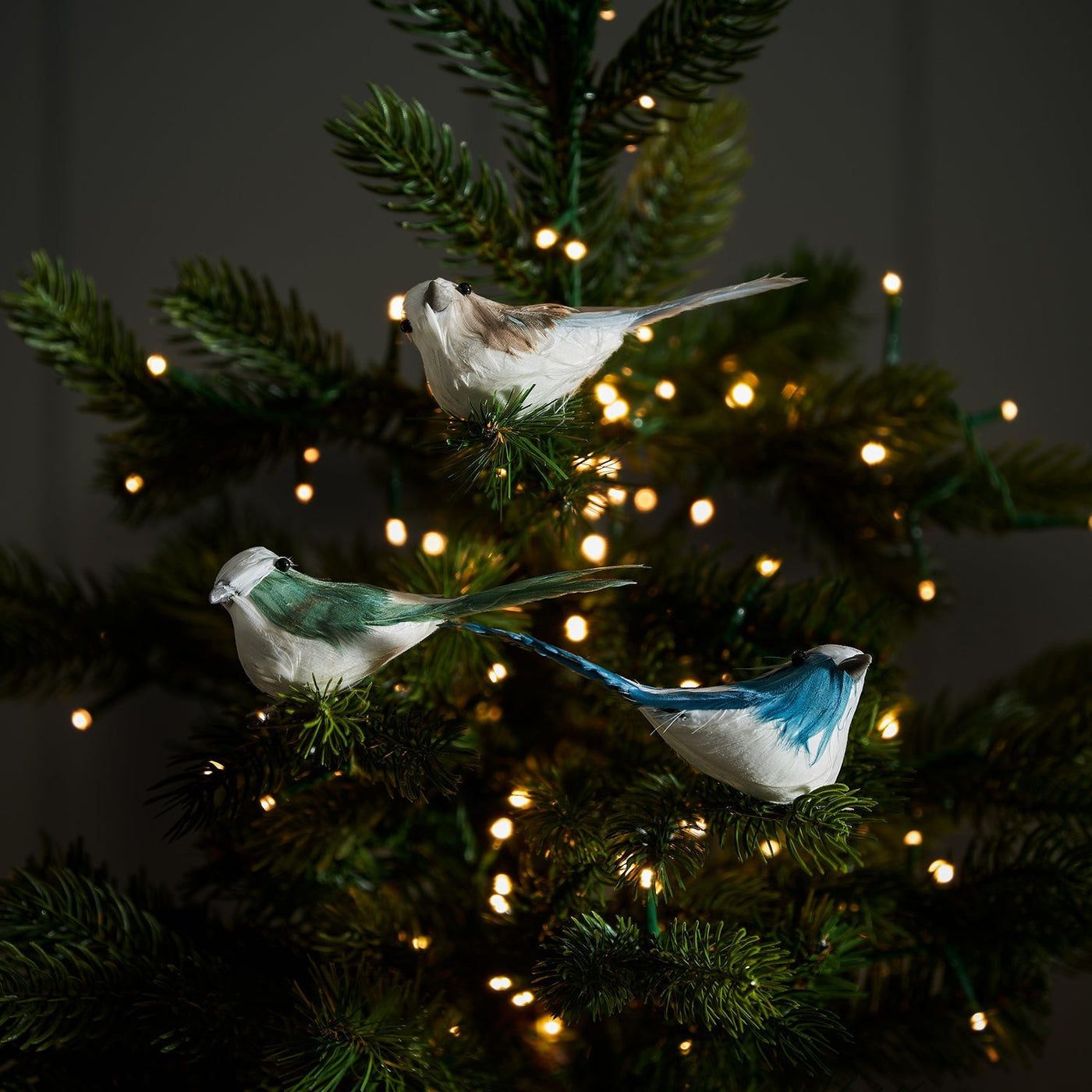 Clip-on Bird Decorations (Set of 6)