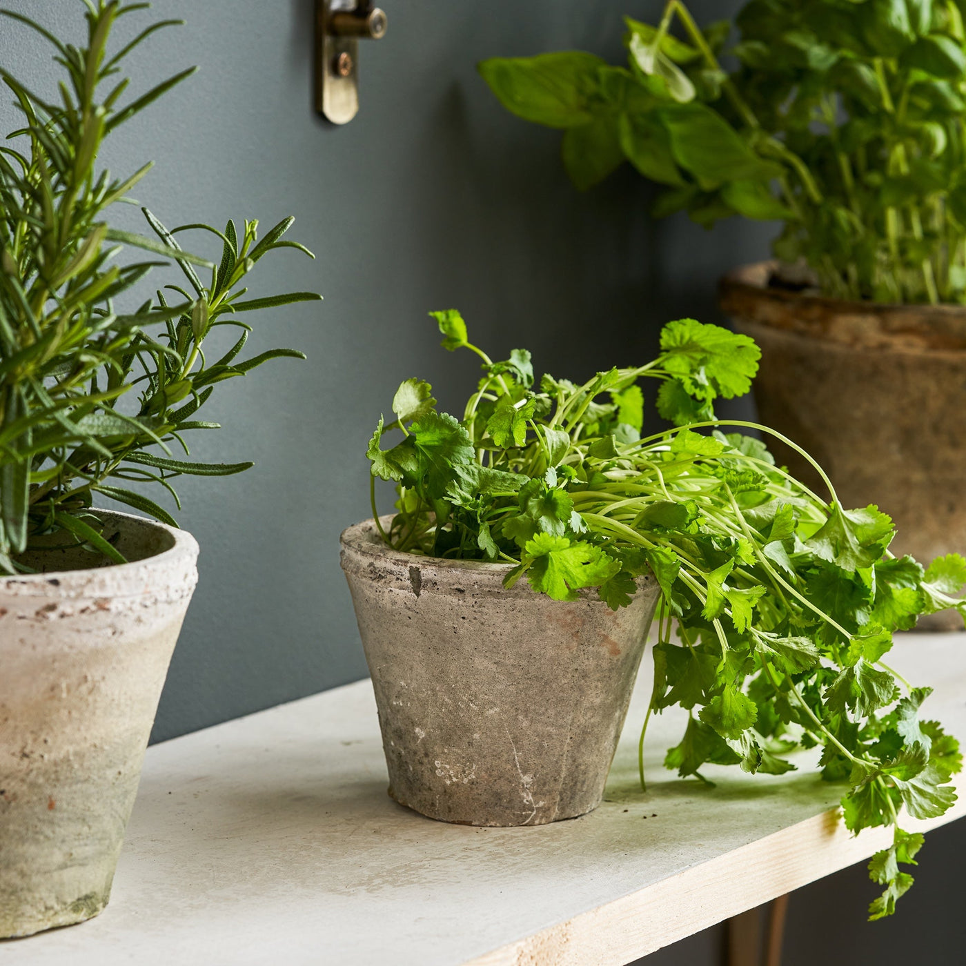 Aged Stone Terracotta Pot