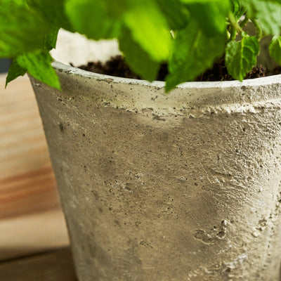 Aged Stone Terracotta Pot