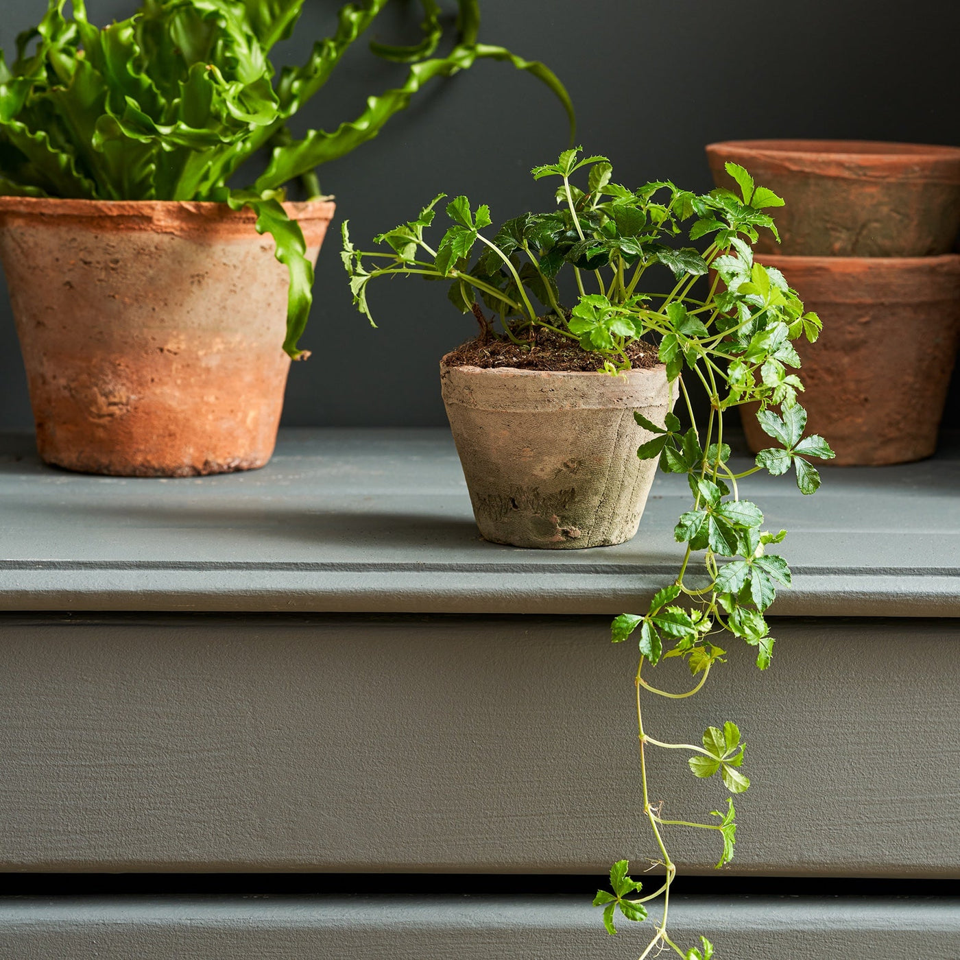 Aged Terracotta Pot