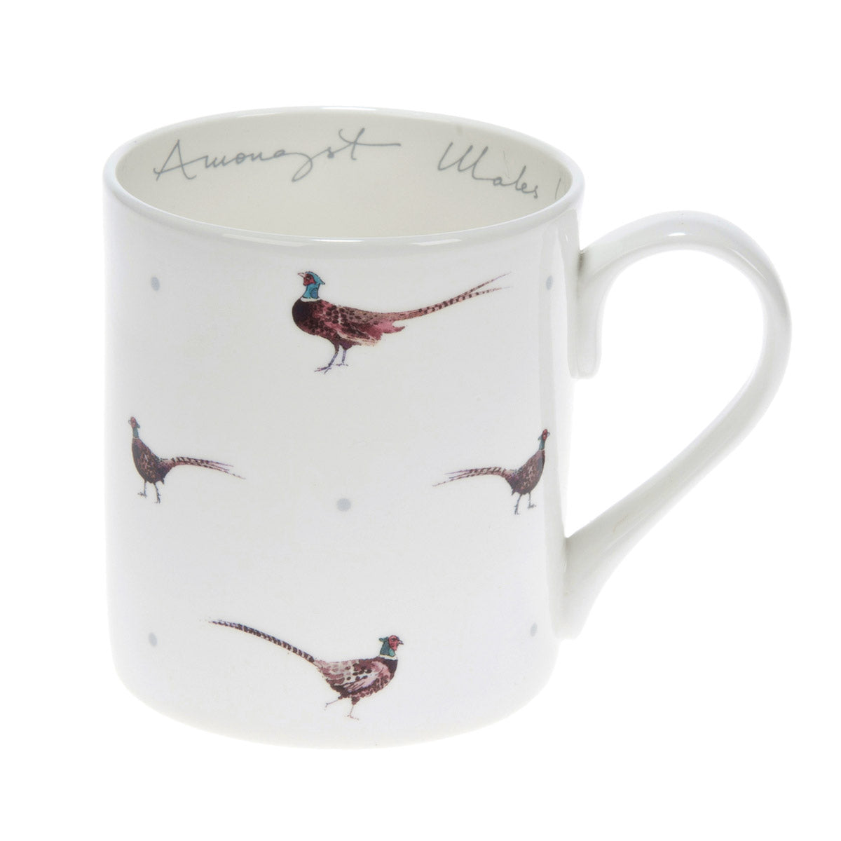 Amongst Males Pheasant & Dot Mug