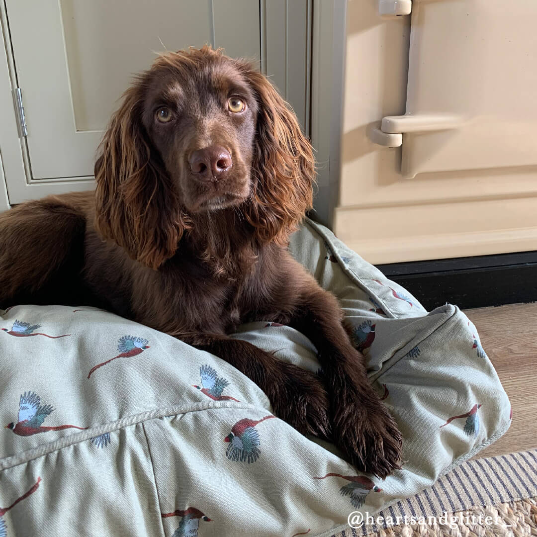 Pheasant Pet Mattress